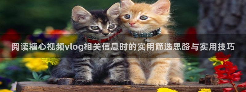 糖心破解版