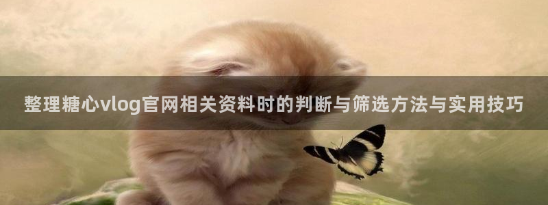 心糖vlog