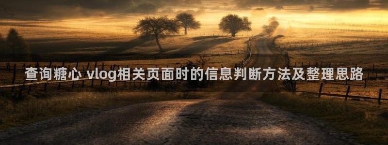 糖心vlog视频在线观看