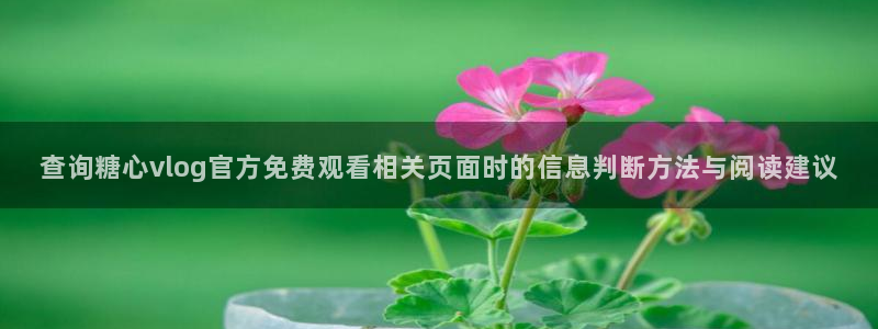 糖心vlog免费观看