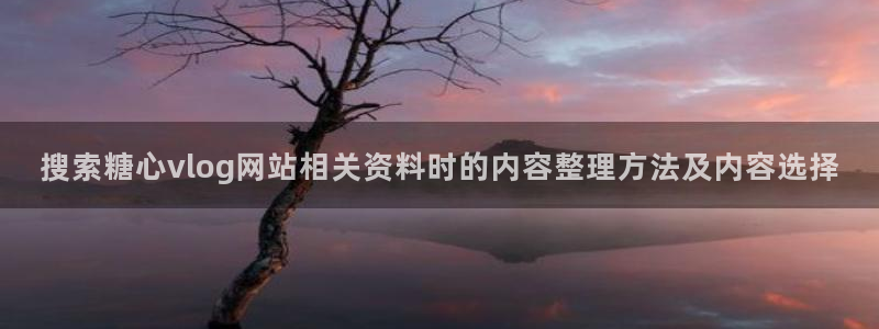 糖心vlog官网下载:搜索糖心vlog网站相关资料时的内容整理方法及内容选择