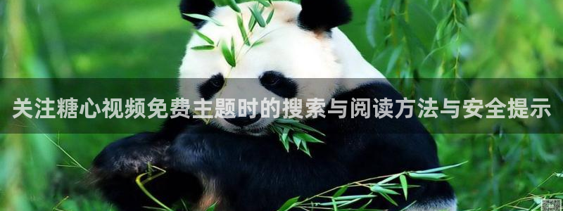 糖心vlog免费在线观看